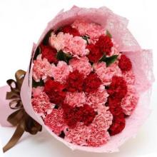 24 Red and Pink Carnations Bouquet 24 Red and Pink Carnations Bouquet